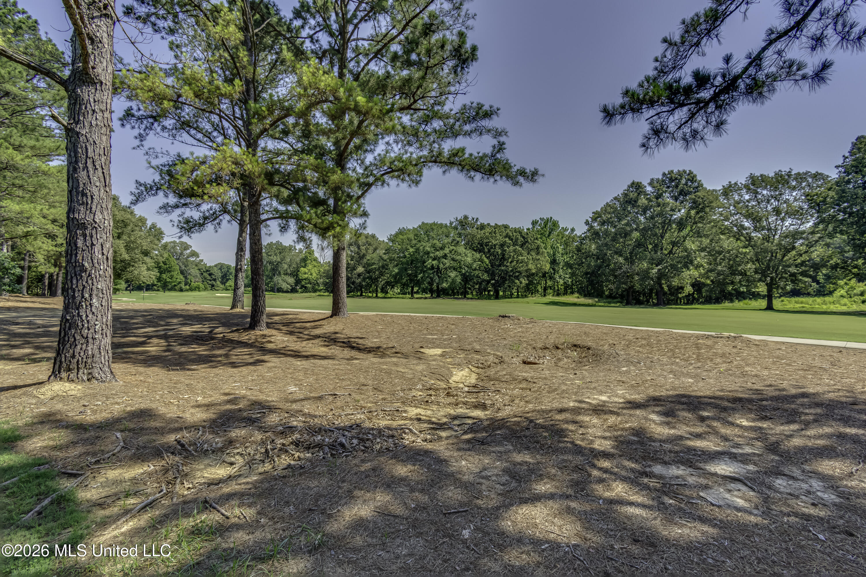 147 Southern Ridge Drive Madison, MS 39110 - Photo 5 of 23 Lot 147 Southern Ridge Dr --4