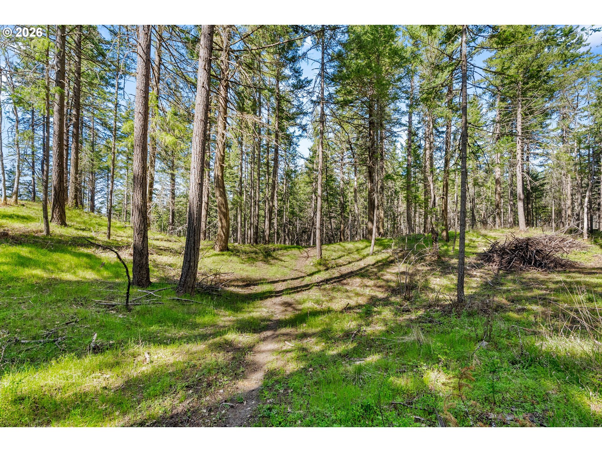 Paradise Ridge Road Mosier, OR 97040 - Photo 11 of 23