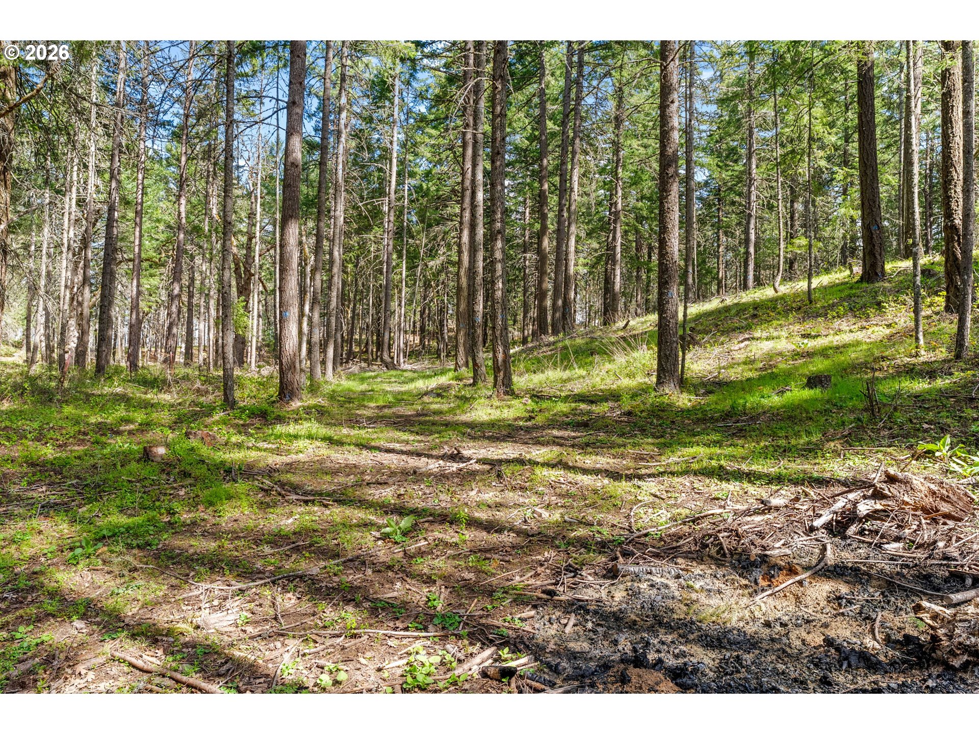 Paradise Ridge Road Mosier, OR 97040 - Photo 12 of 23