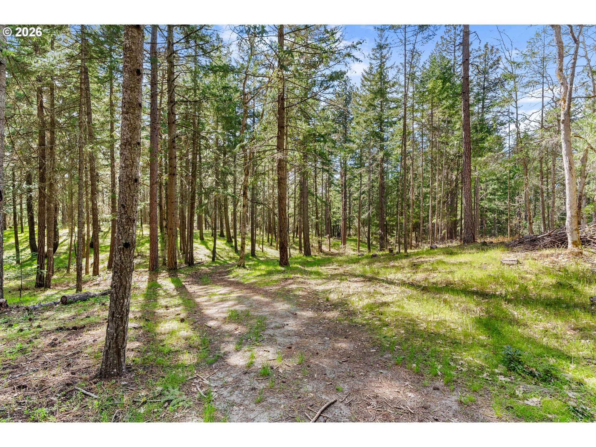 Paradise Ridge Road Mosier, OR 97040 - Photo 15 of 23