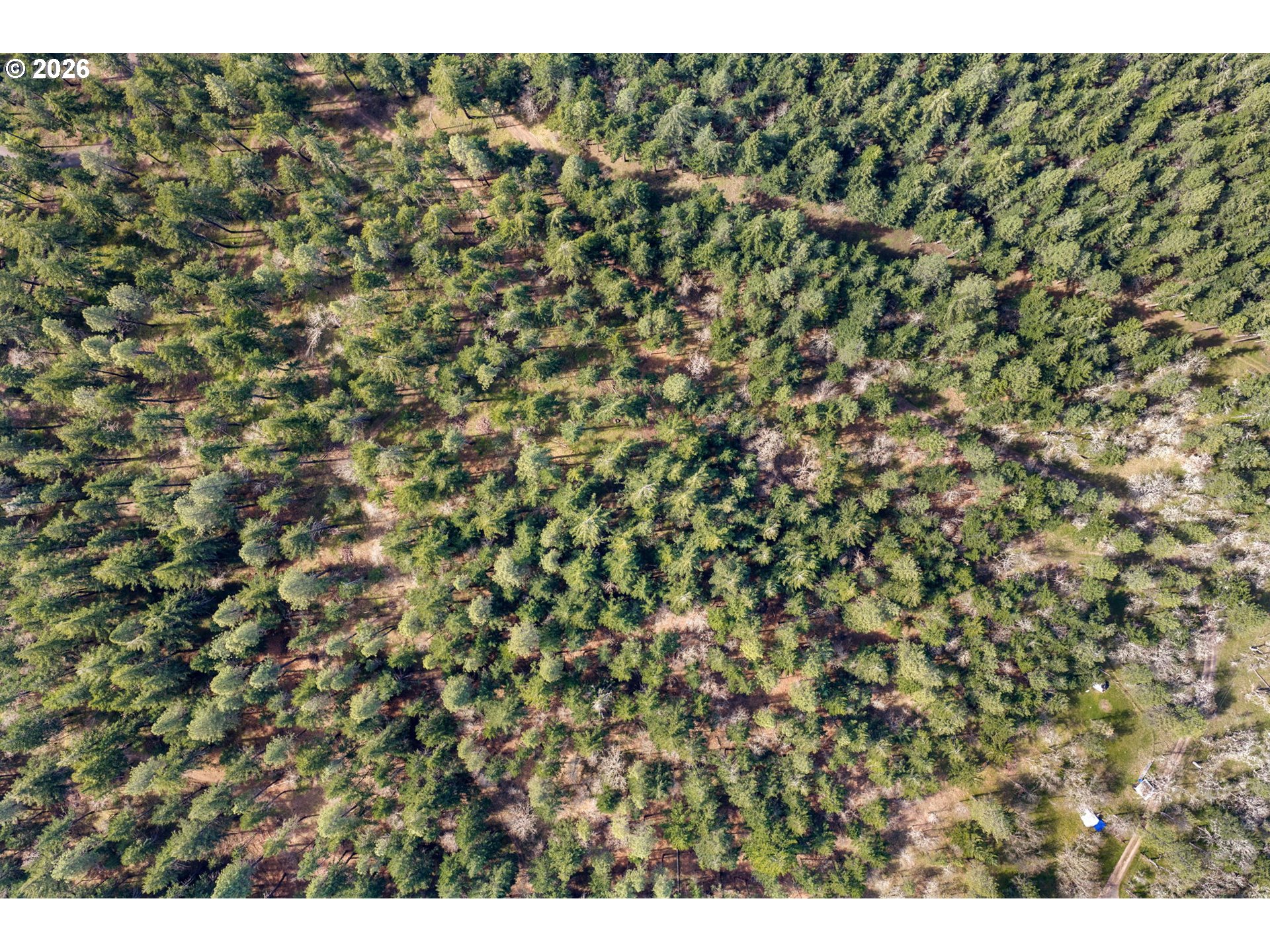 Paradise Ridge Road Mosier, OR 97040 - Photo 17 of 23