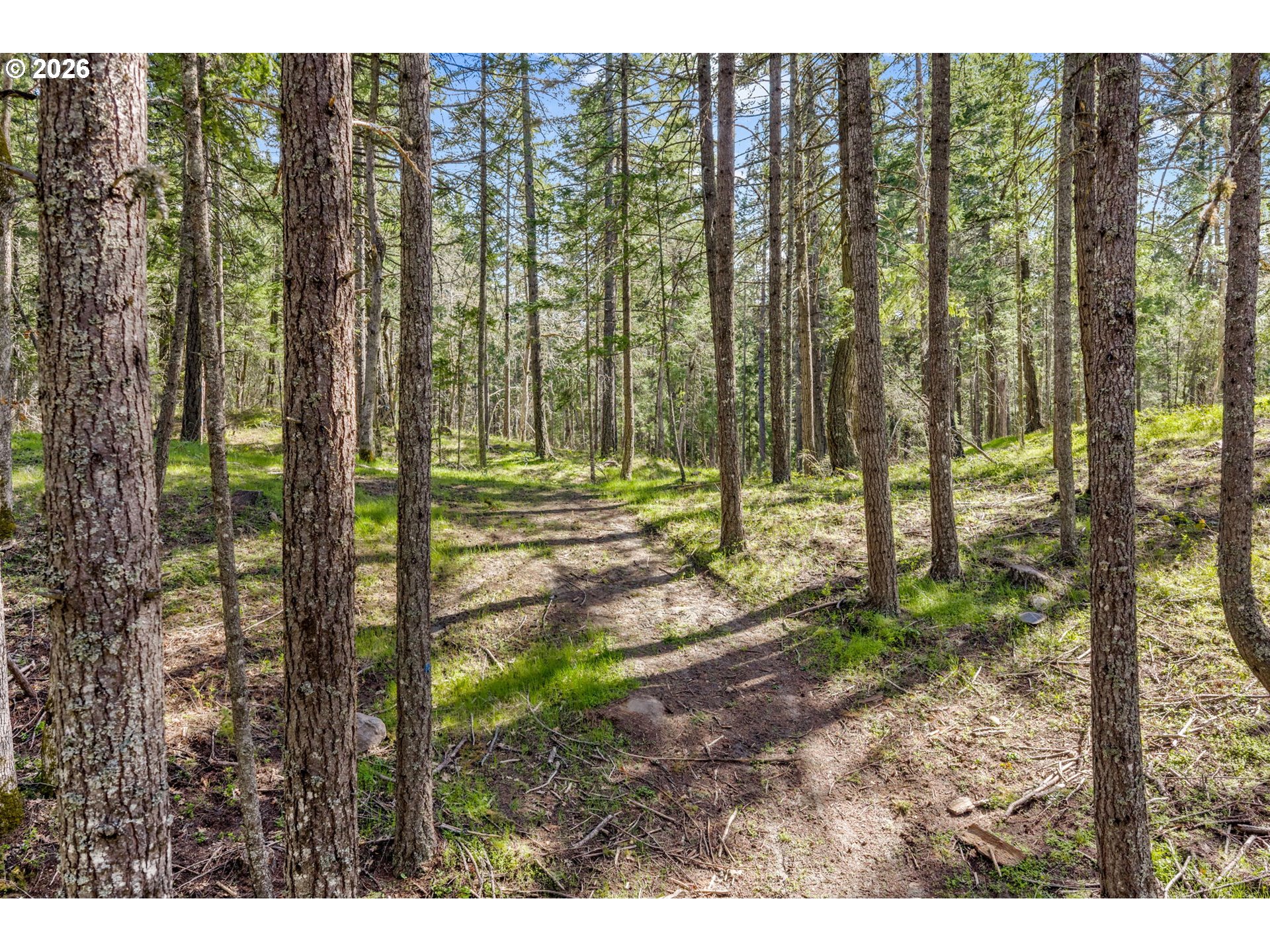 Paradise Ridge Road Mosier, OR 97040 - Photo 20 of 23
