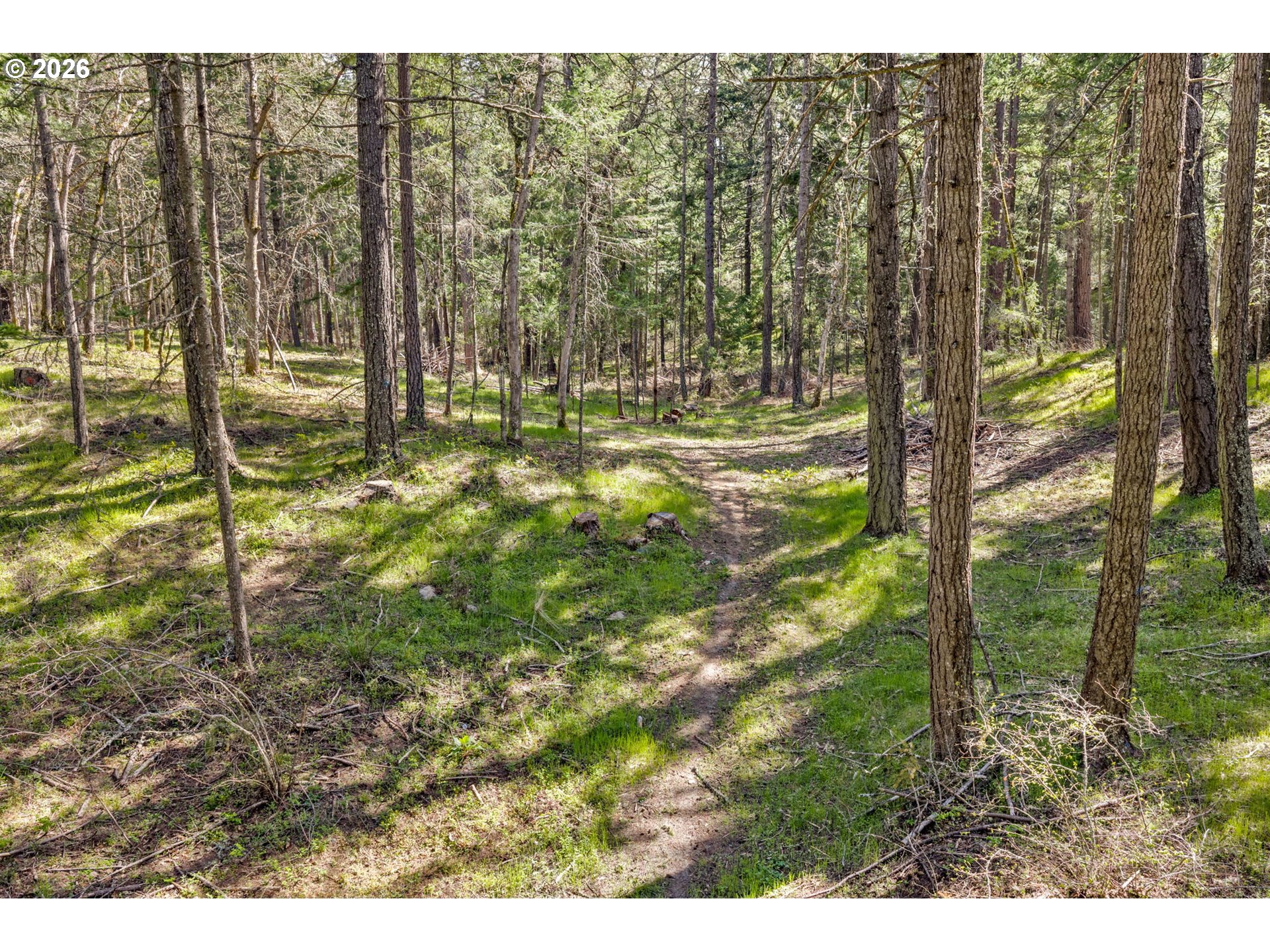 Paradise Ridge Road Mosier, OR 97040 - Photo 21 of 23