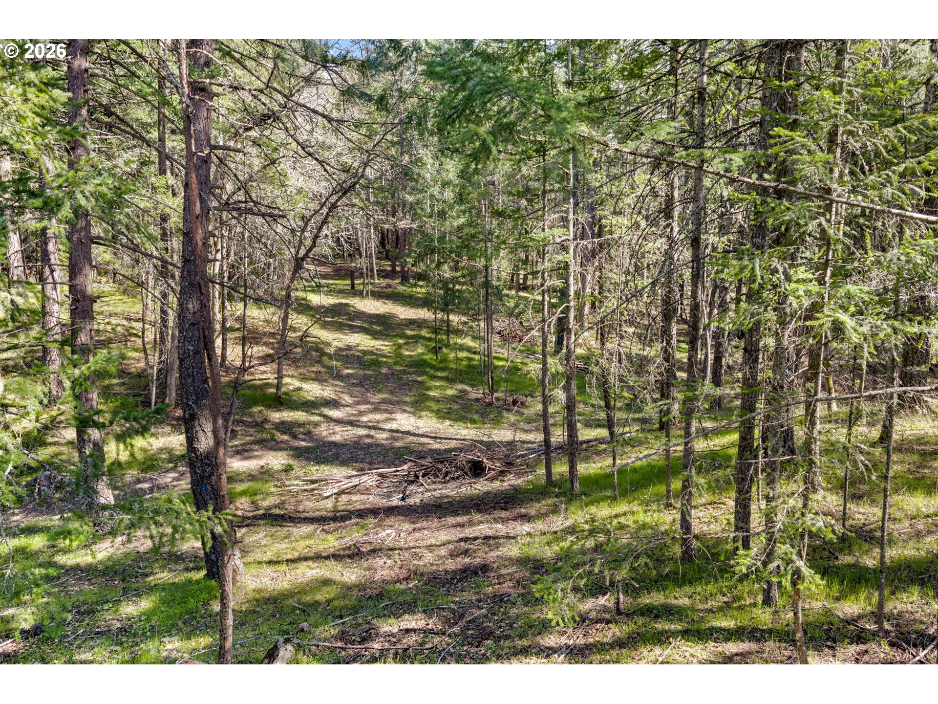 Paradise Ridge Road Mosier, OR 97040 - Photo 23 of 23