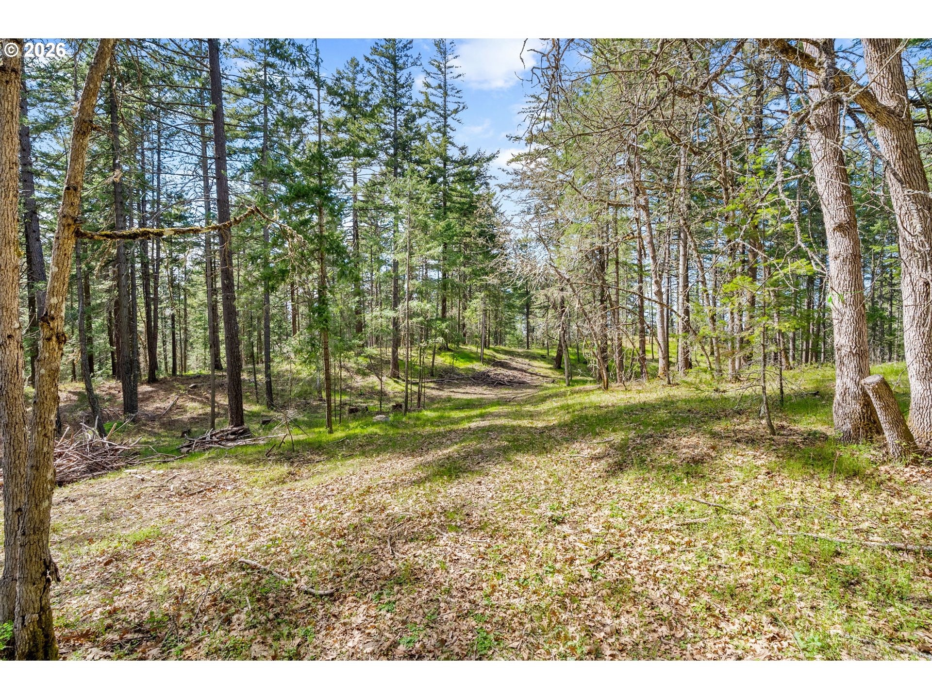 Paradise Ridge Road Mosier, OR 97040 - Photo 3 of 23