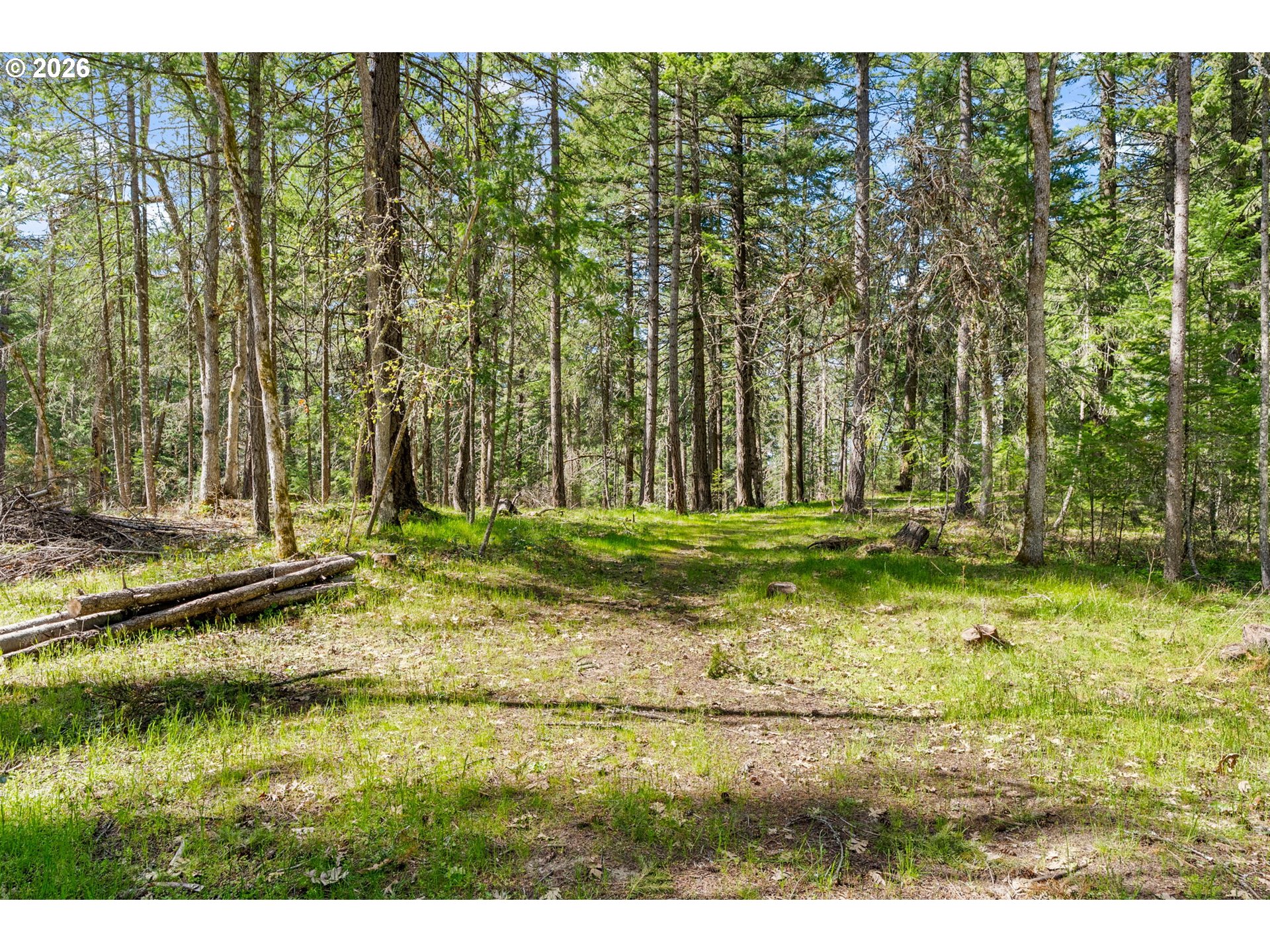 Paradise Ridge Road Mosier, OR 97040 - Photo 5 of 23