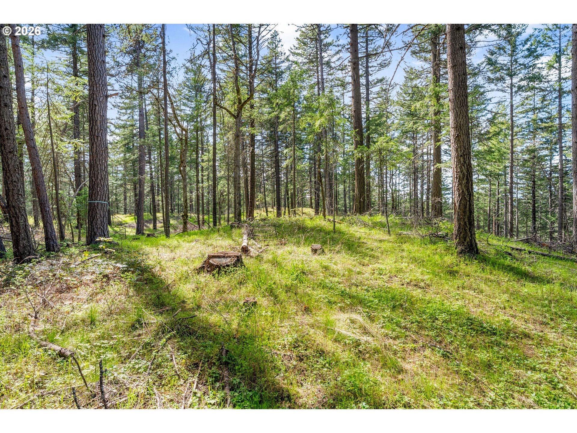 Paradise Ridge Road Mosier, OR 97040 - Photo 6 of 23