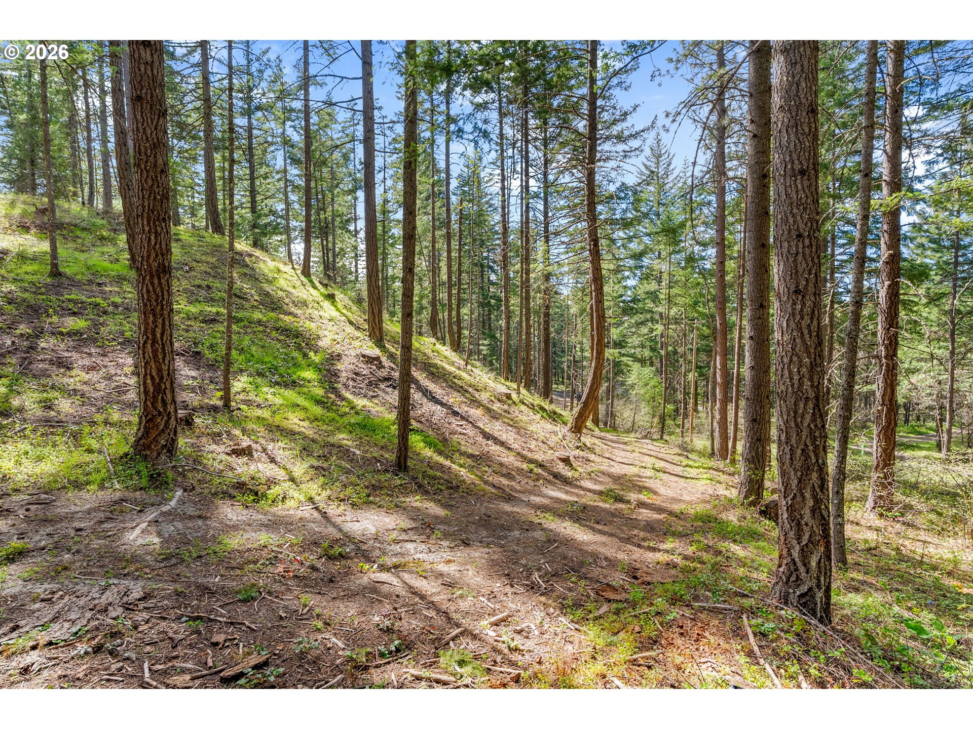 Paradise Ridge Road Mosier, OR 97040 - Photo 7 of 23