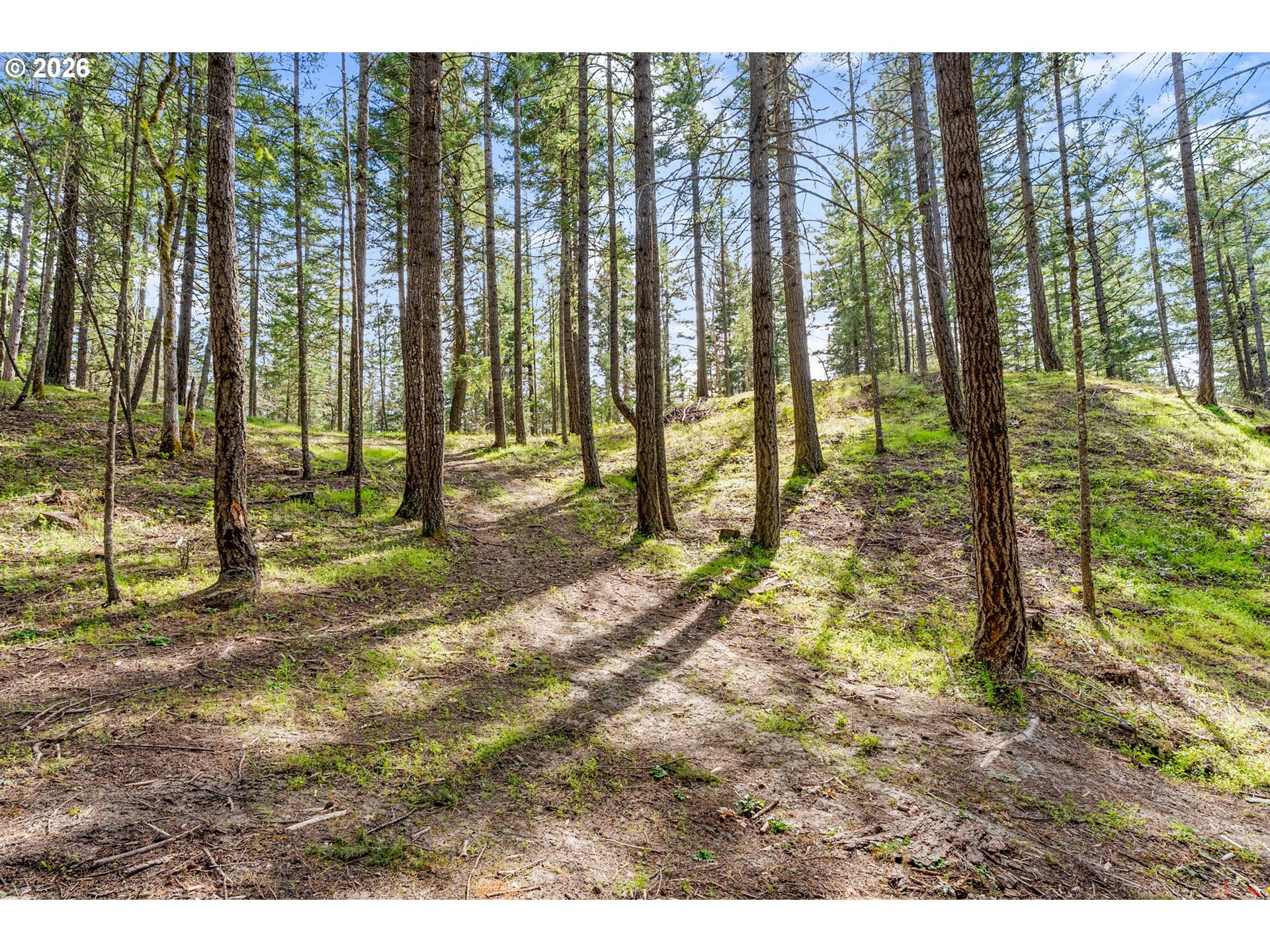 Paradise Ridge Road Mosier, OR 97040 - Photo 8 of 23