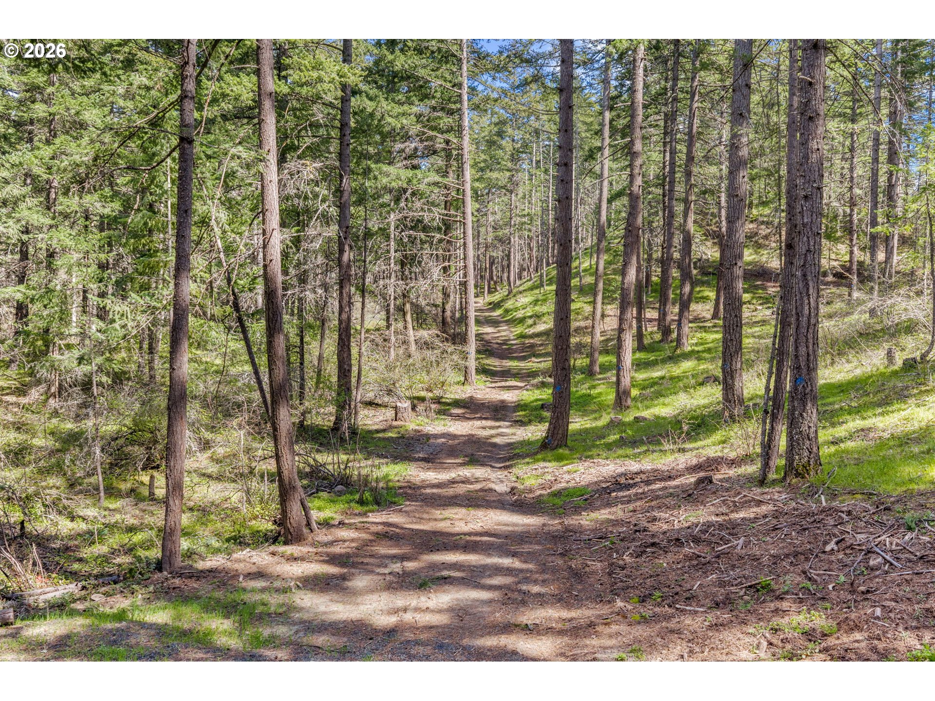 Paradise Ridge Road Mosier, OR 97040 - Photo 9 of 23