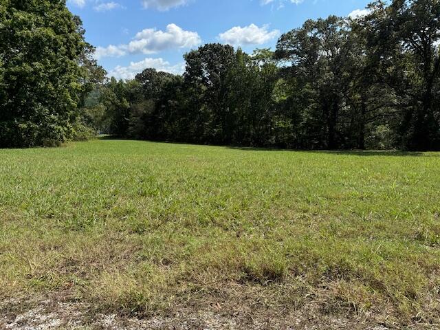 0 The Gates Drive, Unit LOT41 Decatur, TN 37322 - Photo 3 of 10 IMG_5526