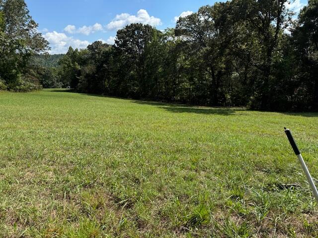 0 The Gates Drive, Unit LOT41 Decatur, TN 37322 - Photo 5 of 10 IMG_5528