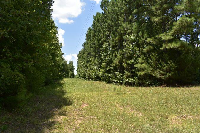 1664 John Rucker Road Elberton, GA 30635 - Photo 17 of 95 _DSC0673