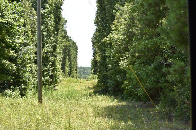1664 John Rucker Road Elberton, GA 30635 - Photo 18 of 95 _DSC0674