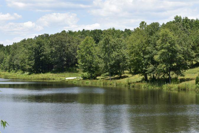 1664 John Rucker Road Elberton, GA 30635 - Photo 23 of 95 _DSC0679