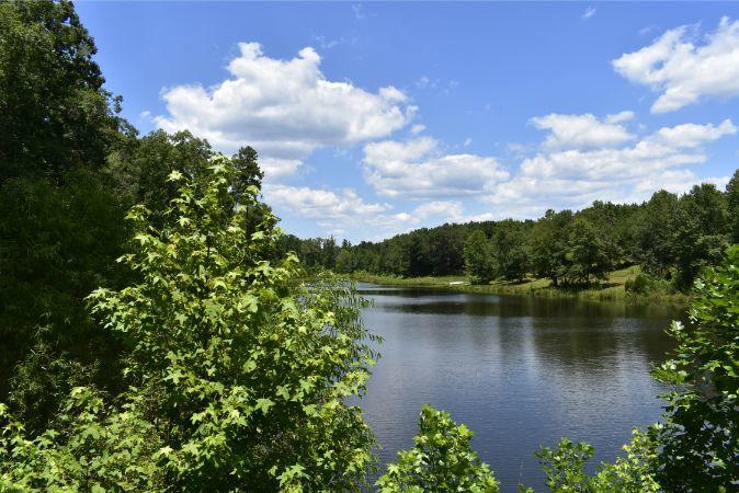 1664 John Rucker Road Elberton, GA 30635 - Photo 24 of 95 _DSC0680