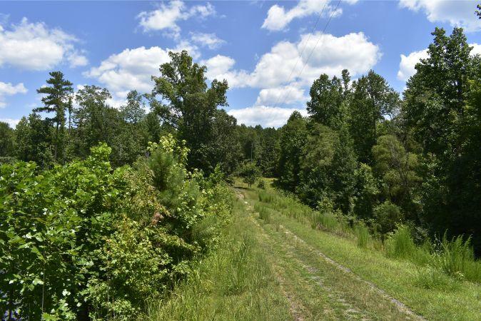 1664 John Rucker Road Elberton, GA 30635 - Photo 25 of 95 _DSC0681