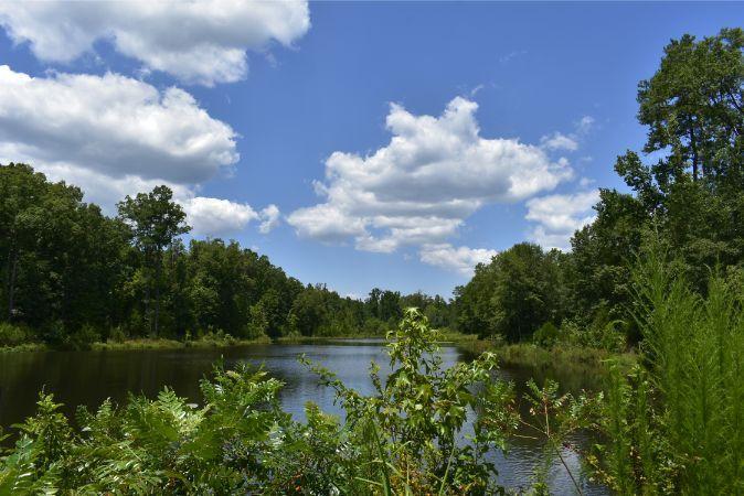 1664 John Rucker Road Elberton, GA 30635 - Photo 27 of 95 _DSC0683