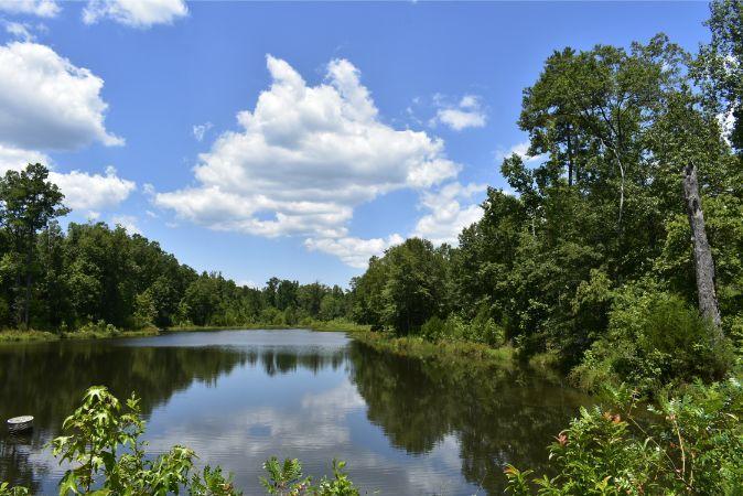 1664 John Rucker Road Elberton, GA 30635 - Photo 30 of 95 _DSC0686