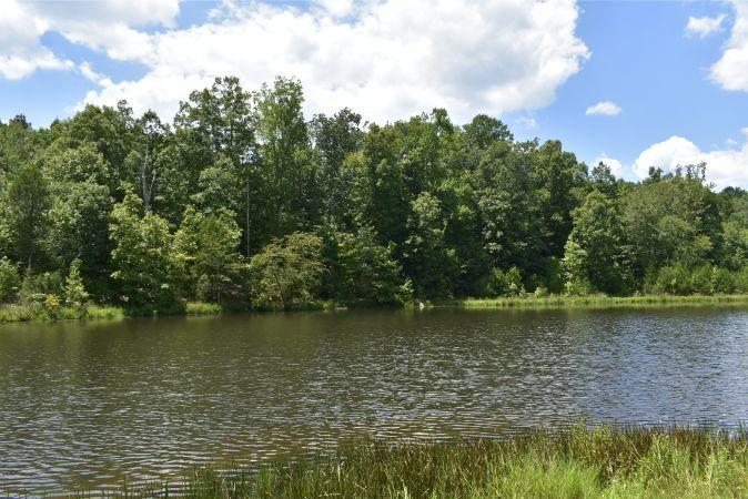 1664 John Rucker Road Elberton, GA 30635 - Photo 3 of 95 _DSC0709