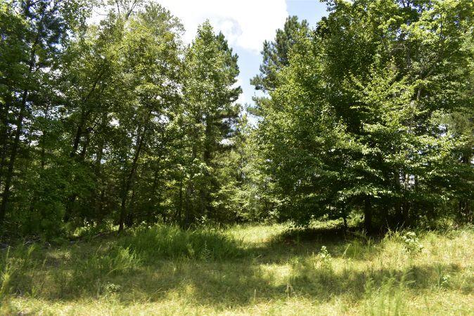 1664 John Rucker Road Elberton, GA 30635 - Photo 31 of 95 _DSC0688