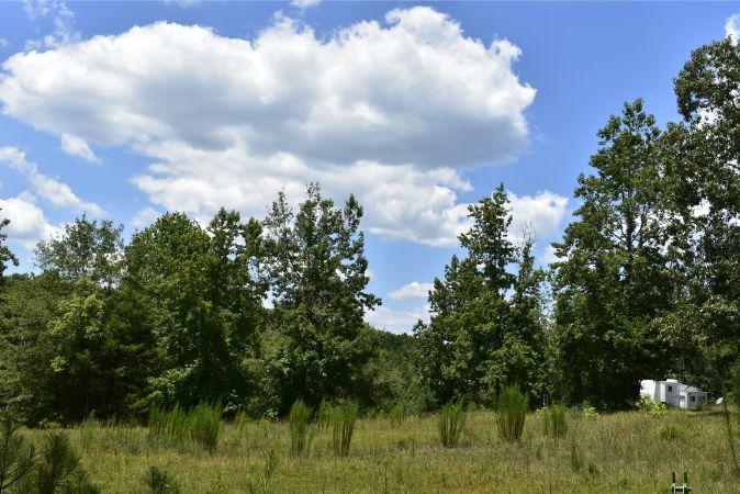 1664 John Rucker Road Elberton, GA 30635 - Photo 32 of 95 _DSC0689