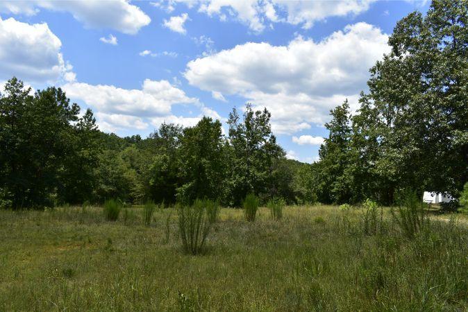 1664 John Rucker Road Elberton, GA 30635 - Photo 33 of 95 _DSC0690