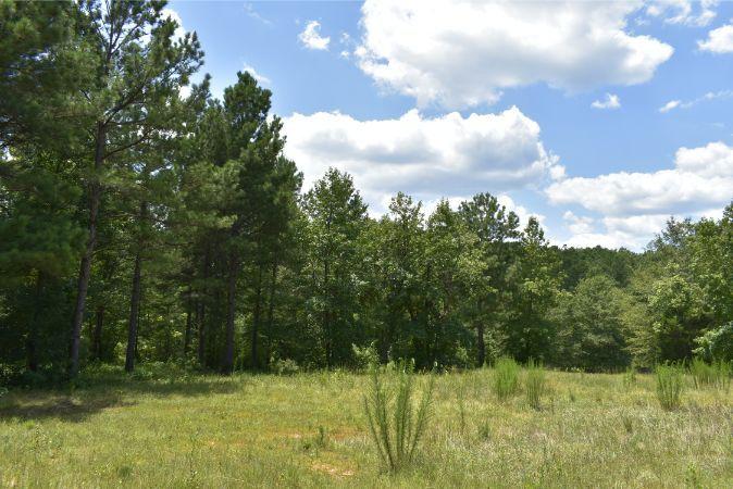 1664 John Rucker Road Elberton, GA 30635 - Photo 34 of 95 _DSC0691