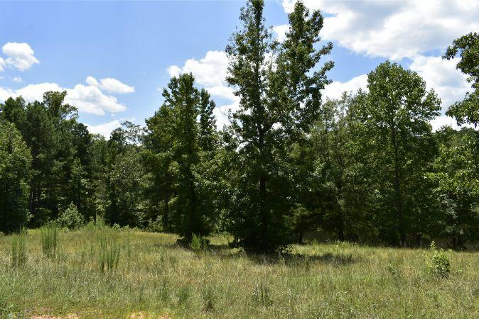 1664 John Rucker Road Elberton, GA 30635 - Photo 38 of 95 _DSC0695