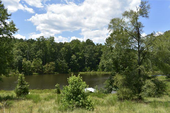 1664 John Rucker Road Elberton, GA 30635 - Photo 46 of 95 _DSC0703