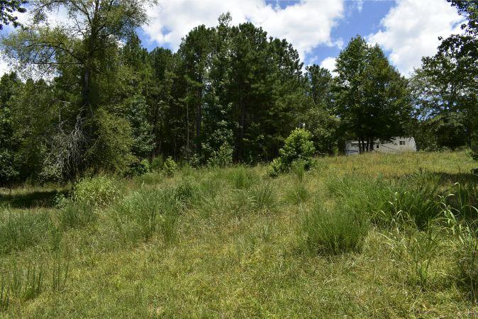 1664 John Rucker Road Elberton, GA 30635 - Photo 54 of 95 _DSC0714
