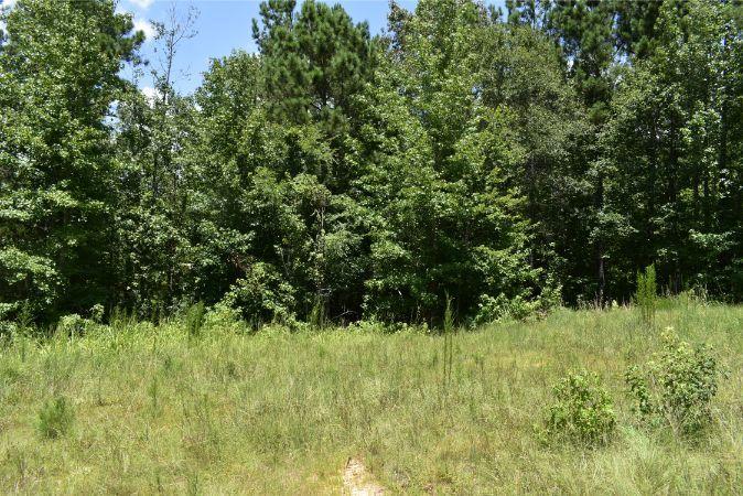 1664 John Rucker Road Elberton, GA 30635 - Photo 59 of 95 _DSC0719
