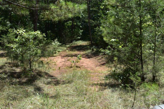 1664 John Rucker Road Elberton, GA 30635 - Photo 71 of 95 _DSC0734