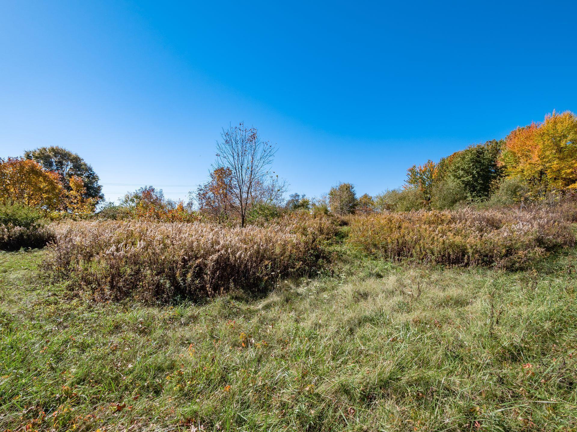 11109 York Road Southwest Etna, OH 43105 - Photo 29 of 38 Land D