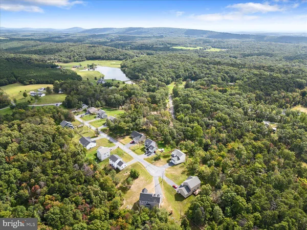 view of city and green space
