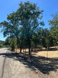 50294 Chuckwagon Road Yokuts Valley, CA 93675 - Photo 37 of 52 Gallery Image 37