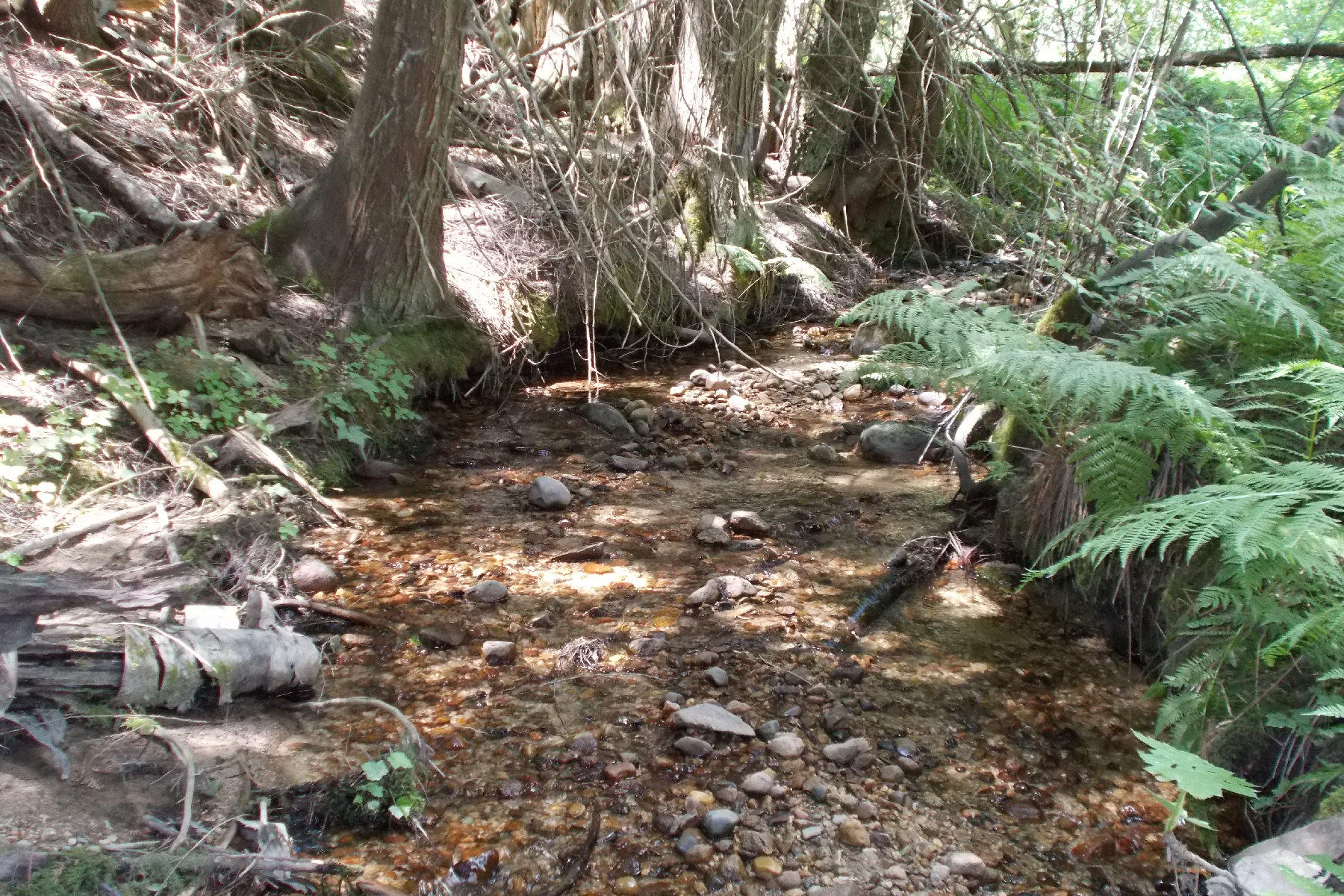 Smith Creek