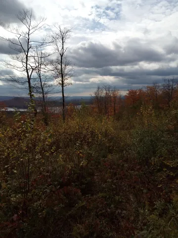 $150,000 | O Toad Pond Road, Morgan, VT 05853