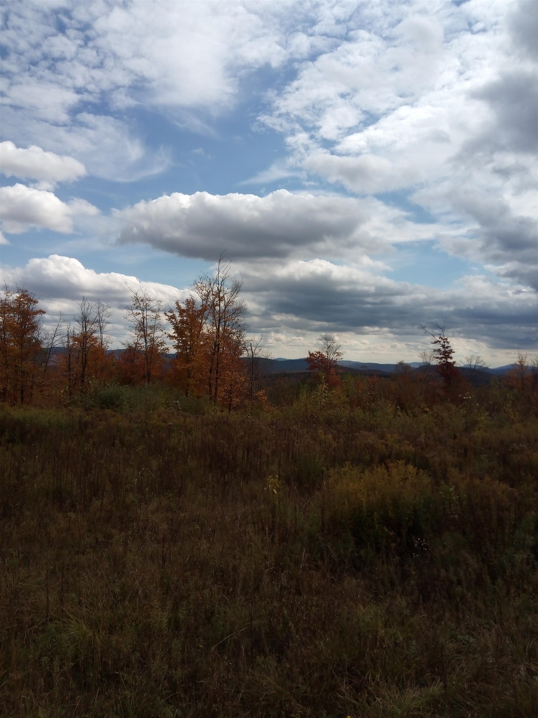 O Toad Pond Road Morgan, VT 05853 - Photo 12 of 18