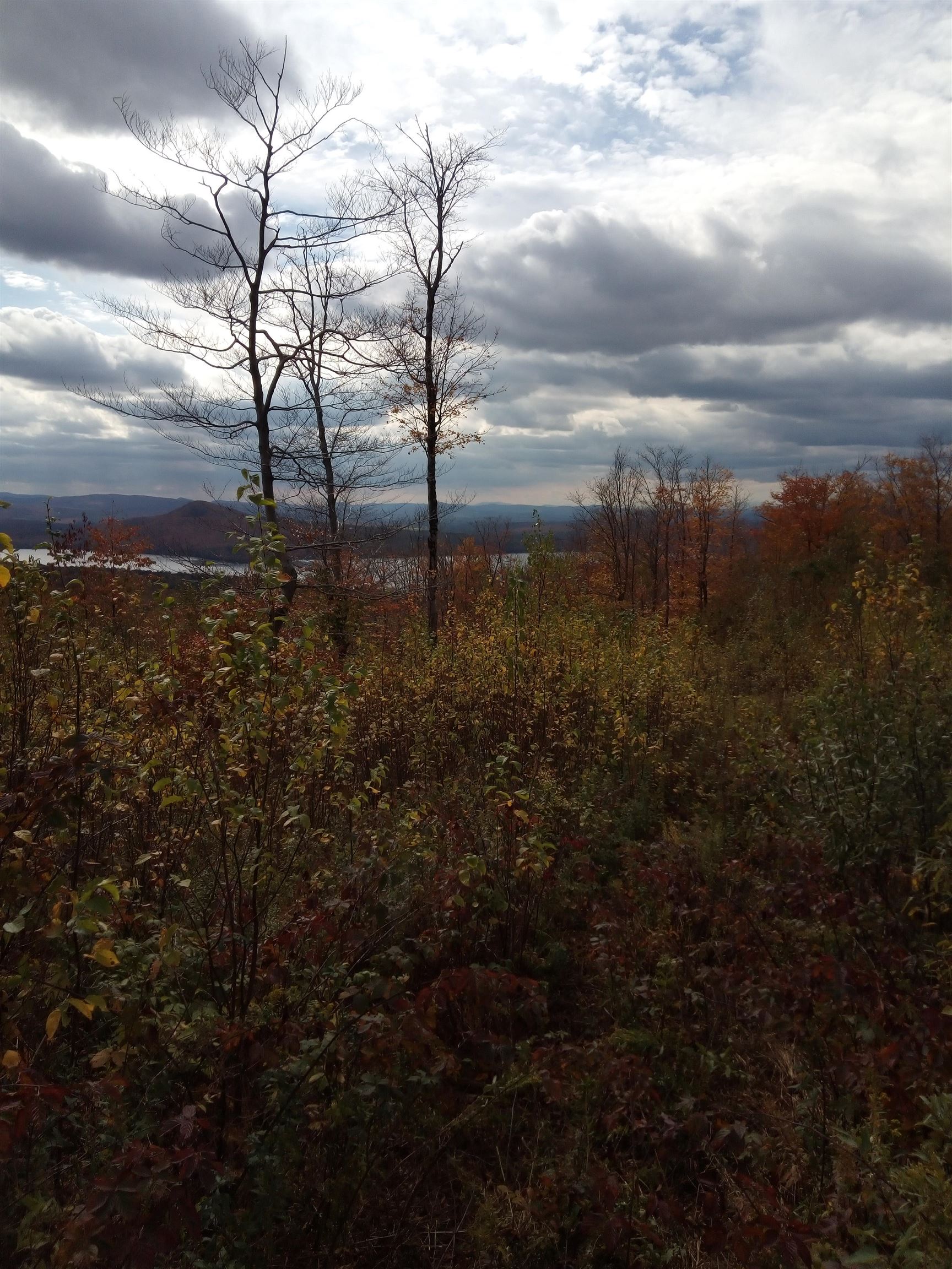 O Toad Pond Road Morgan, VT 05853 - Photo 14 of 18