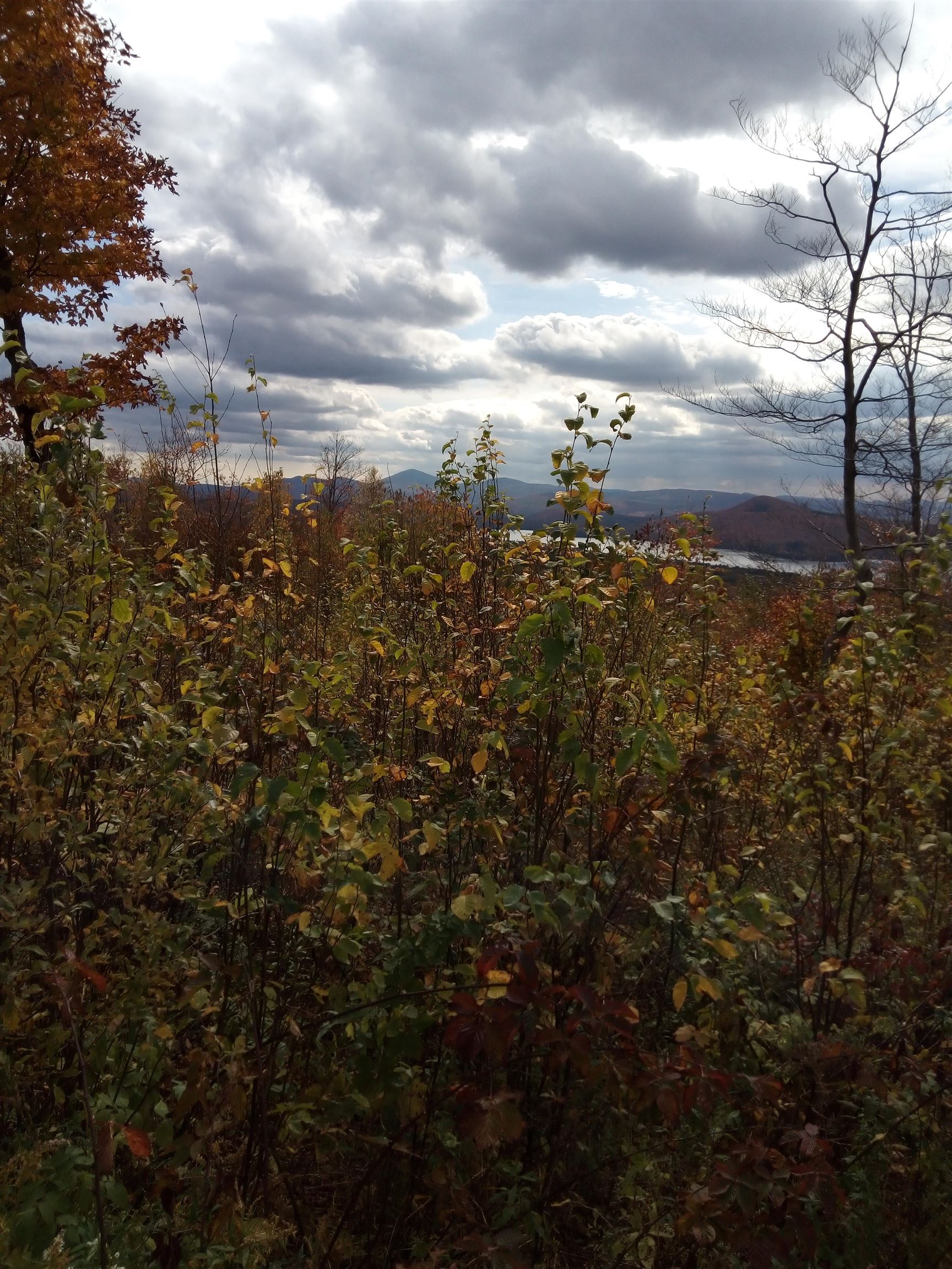 O Toad Pond Road Morgan, VT 05853 - Photo 15 of 18