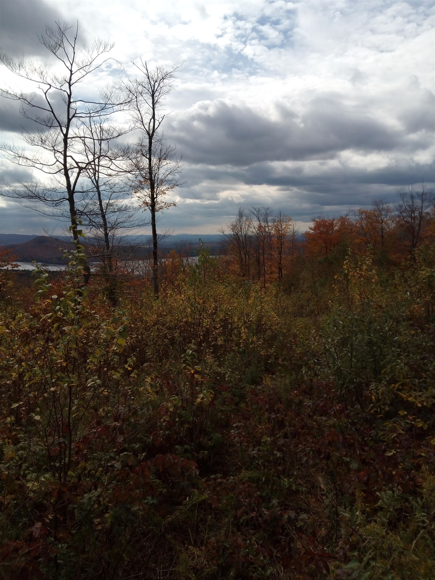 O Toad Pond Road Morgan, VT 05853 - Photo 16 of 18