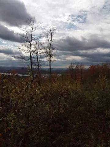 $150,000 | O Toad Pond Road, Morgan, VT 05853