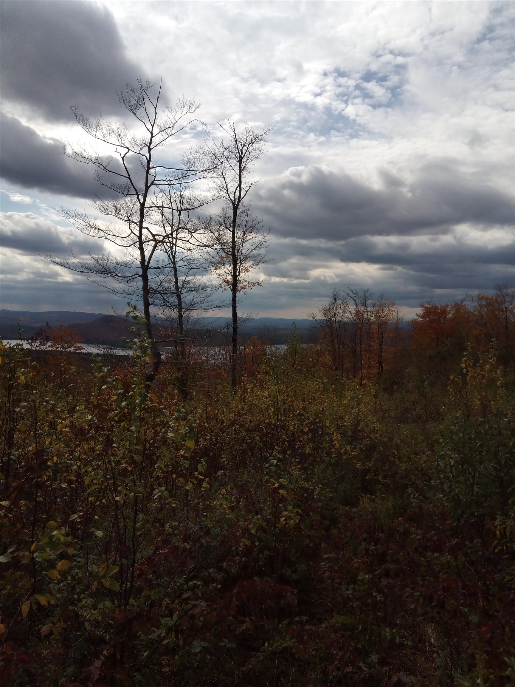 O Toad Pond Road Morgan, VT 05853 - Photo 17 of 18