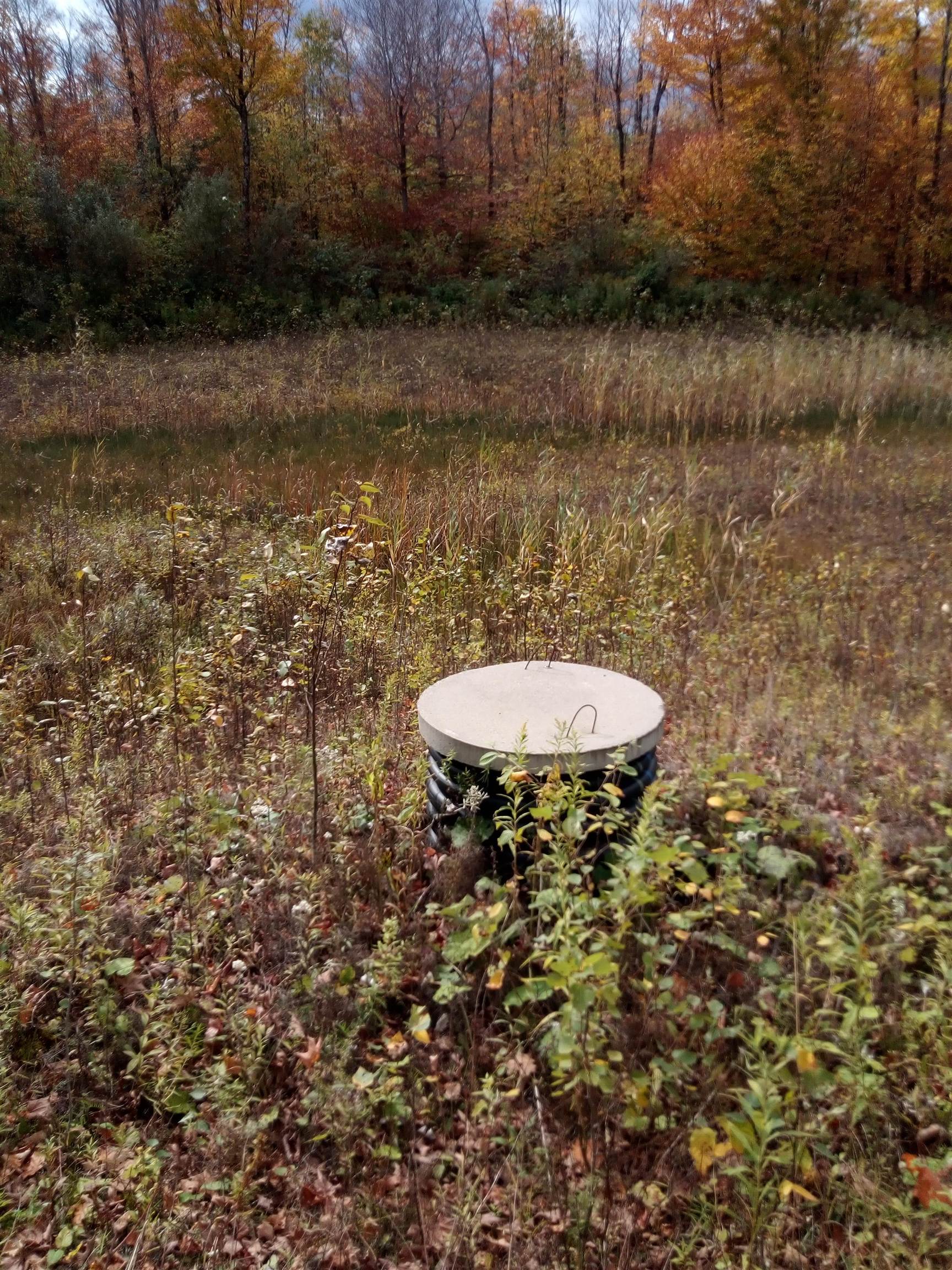 O Toad Pond Road Morgan, VT 05853 - Photo 18 of 18