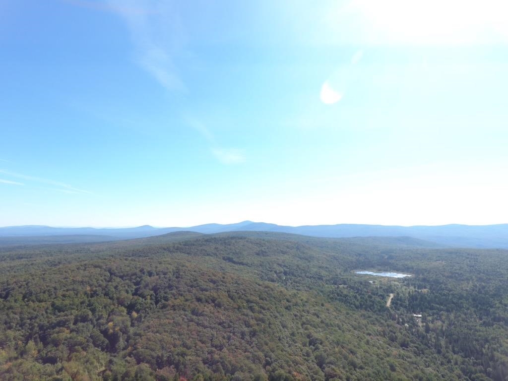 O Toad Pond Road Morgan, VT 05853 - Photo 4 of 18