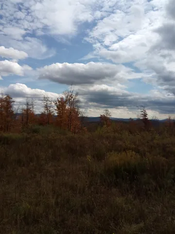 $150,000 | O Toad Pond Road, Morgan, VT 05853