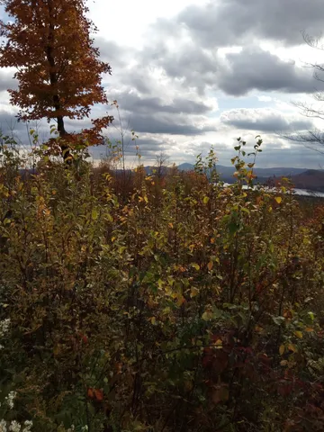 $150,000 | O Toad Pond Road, Morgan, VT 05853