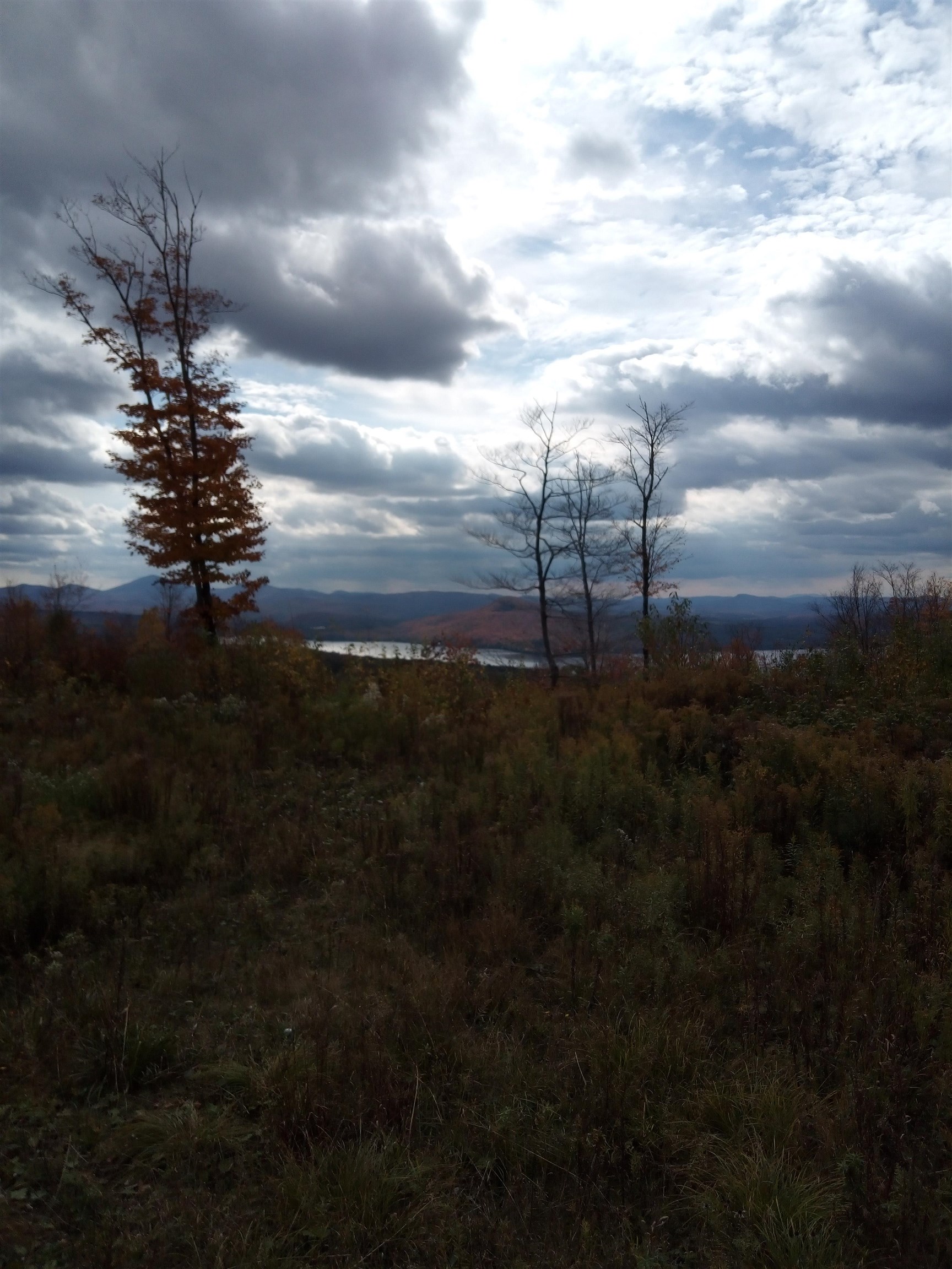 O Toad Pond Road Morgan, VT 05853 - Photo 9 of 18