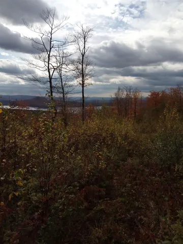 $150,000 | O Toad Pond Road, Morgan, VT 05853